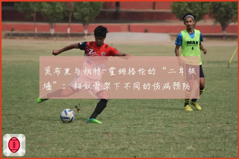 莫布里与切特-霍姆格伦的“二年级墙”：相似骨架下不同的伤病预防体系
