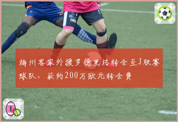 梅州客家外援罗德里格转会至J联赛球队，获约200万欧元转会费