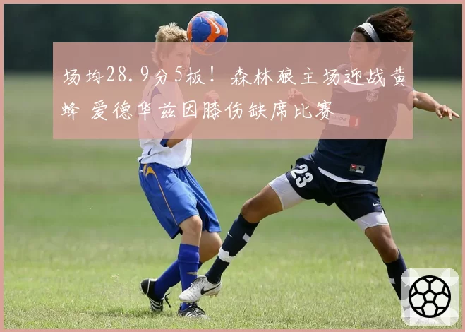 场均28.9分5板!森林狼主场迎战黄蜂 爱德华兹因膝伤缺席比赛